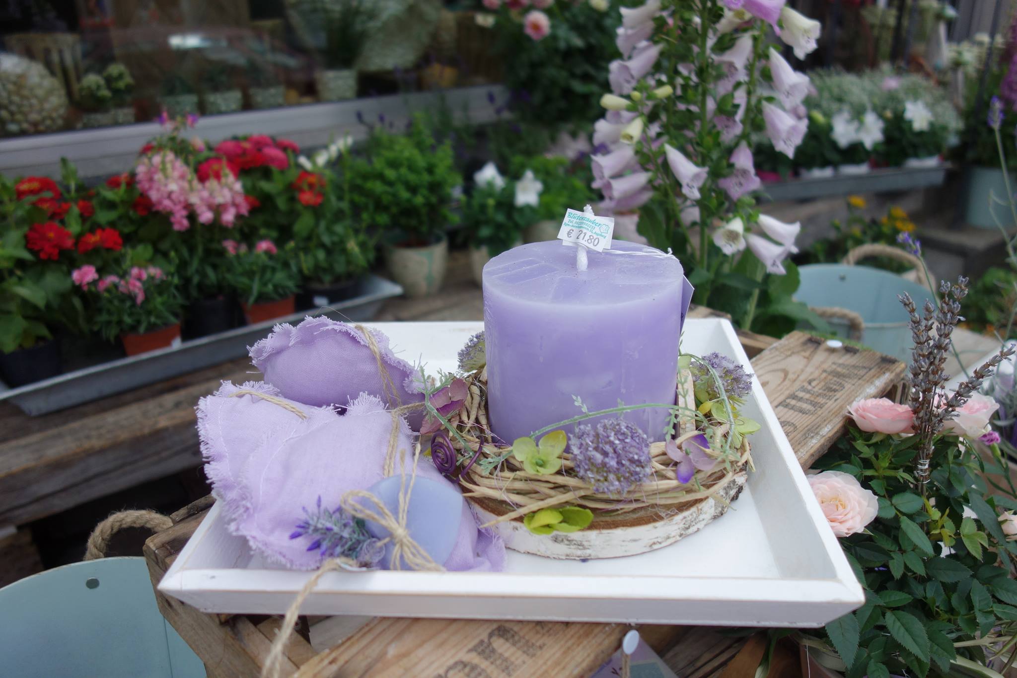 Blütenzauber Lavendelwochen Augsburg