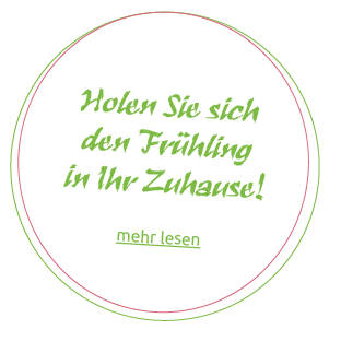 Fruehling Blumen Augsburg 2025